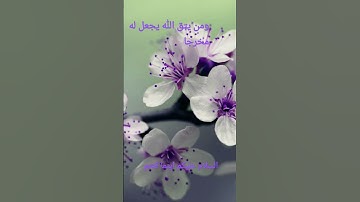 القرآن الكريم/سورة الإسراء القارئ الحاج عامر الكاظمي/اللهم صل وسلم على نبينا