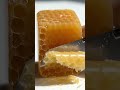 Honeycomb Soap Slicing 🐝🧼 | Satisfying Visual ASMR #soap #asmr #satisfying #shorts
