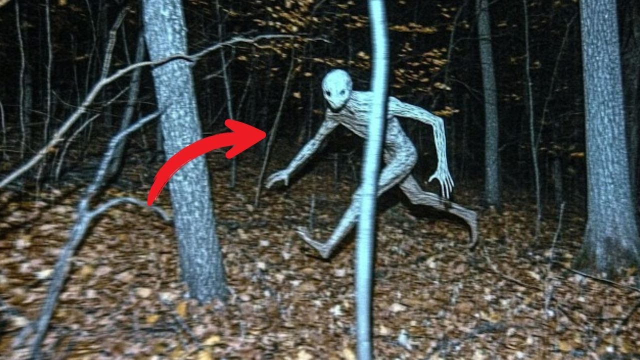 15 Strange Forests That Are Home to Terrifying Creatures