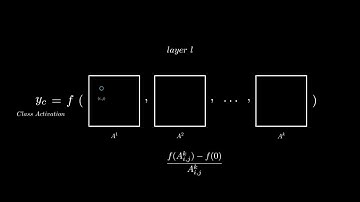 Ablation-Cam : A Visual Explanation