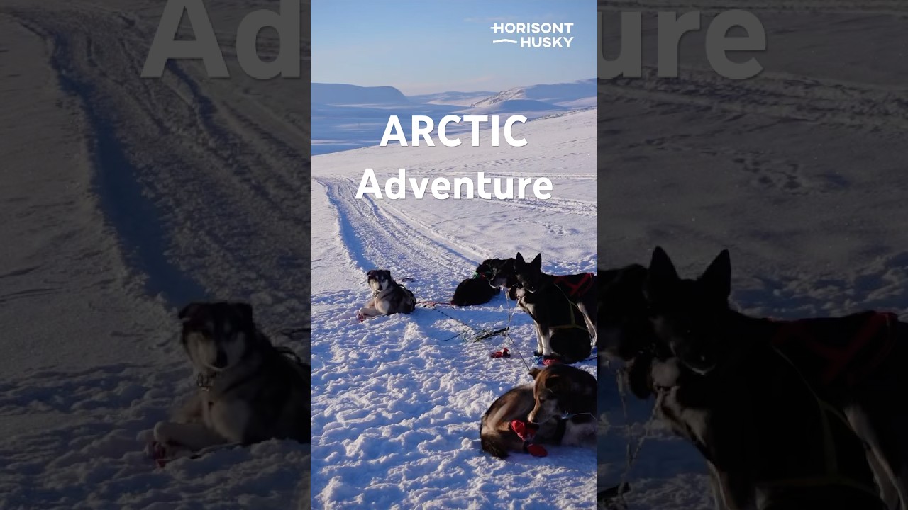 Dogsledding through Norway 🇳🇴