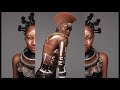 Gorgeous modern tribute to african culture