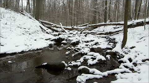 3 Hour Relaxing Stream Sound - Lemoine Point - Kingston Ont Canada