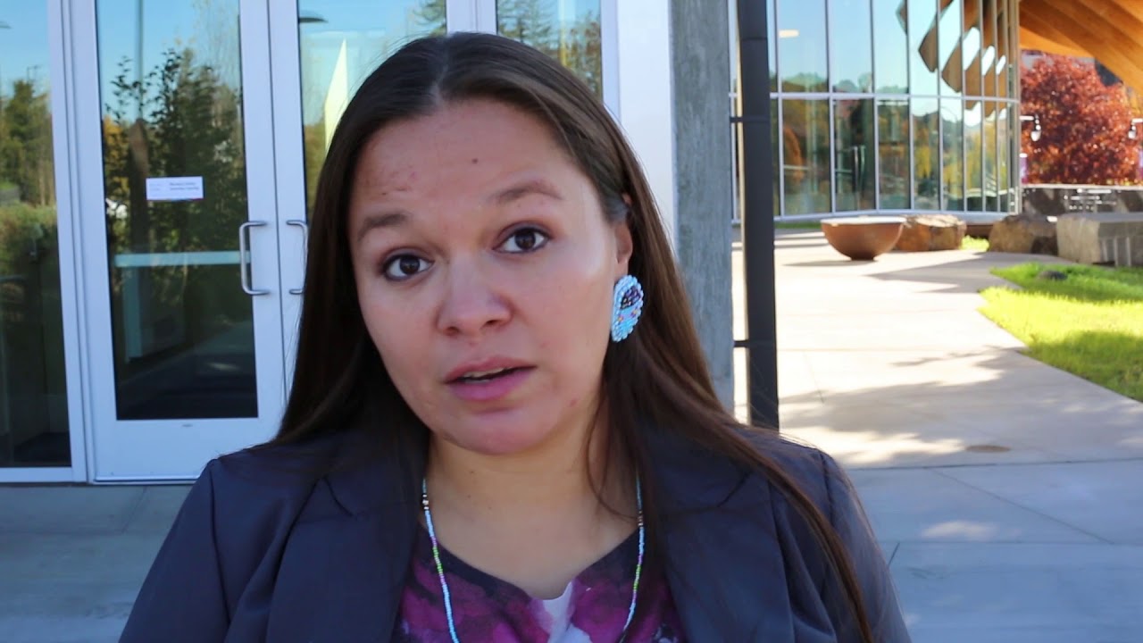 Leslie Moses on cultures in schools YouTube