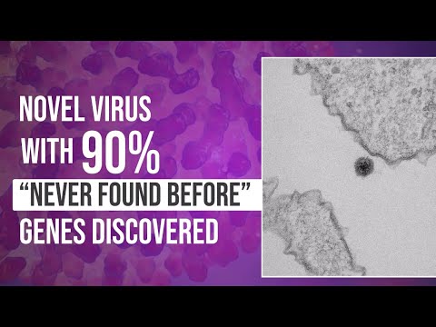 Video: Yaravirus. In Brasile è Stato Scoperto Un Virus, Quasi Interamente Costituito Da Geni Sconosciuti Alla Scienza - Visualizzazione Alternativa