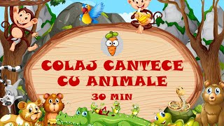 30 Minute Colaj Cantece cu Animale | Cantece pentru Copii | Desene Animate