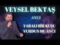 Veysel bekta  yarali br kuu vurdun mu avci