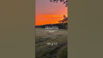 قران كريم ارح قلبك وسمعك #قران_في_دقيقة #قرآن #quran @قران_في_دقيقه
