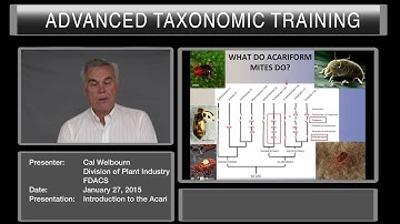 Introduction to the Acari