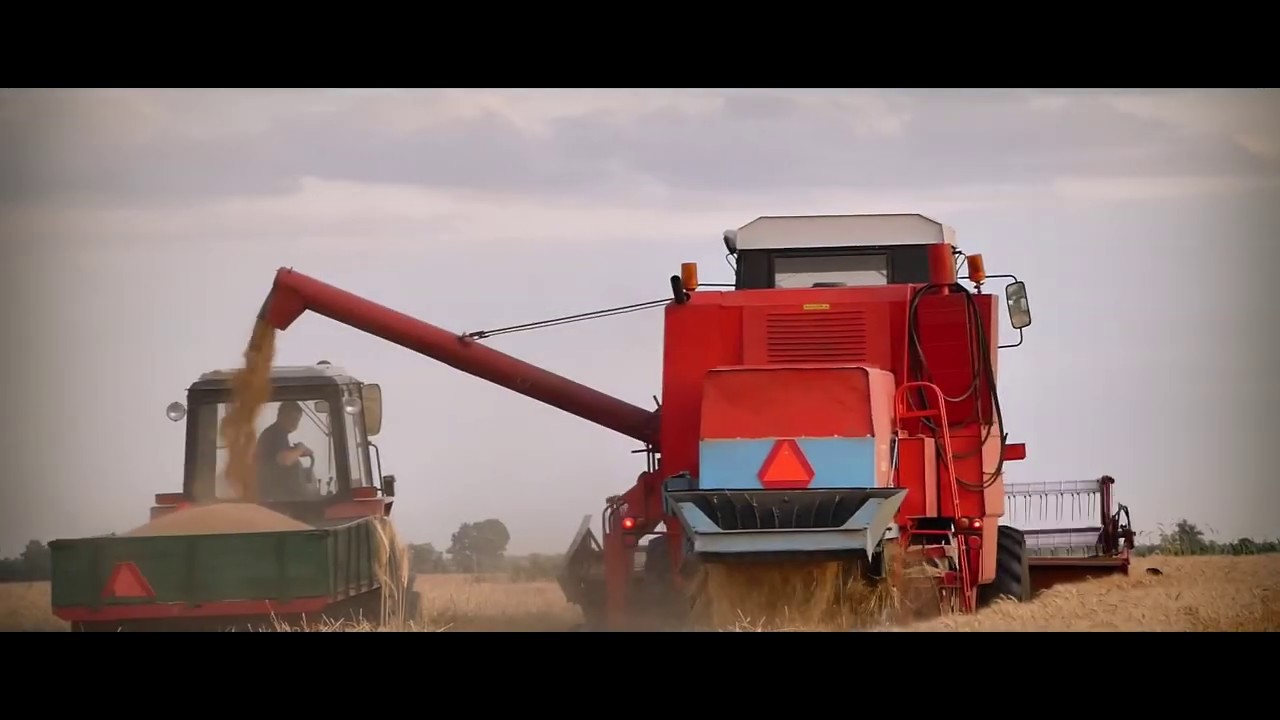 Żniwa 2019 - Żyto ✩ Bizon Z056 ✩ Ursus C-360 ✩ Wielkopolska
