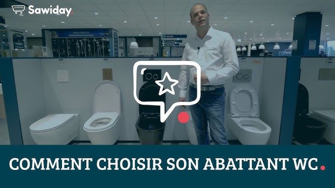 Changer son abattant de toilettes suspendues : mission impossible ? -  Crevette diplomate