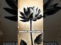 The Silent Lotus: Awakening in Stillness