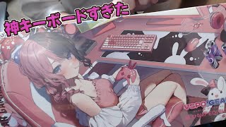ありがとうぶいすぽさん、、これ神だわ 【VSPO！GEAR/橘ひなの】【ぶ 