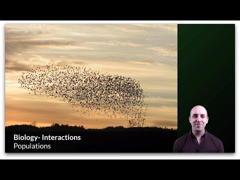 K-Bio Interactions 2: Populations