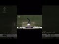 Bumrah🔥