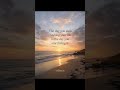 The Day You Stop Rushing Your Life | SoulSearcher