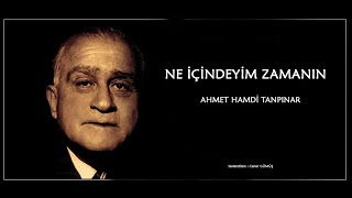 Ne İçindeyim Zamanın - Şiir: Ahmet Hamdi TANPINAR - Seslendirme: Caner GÜMÜŞ Resimi