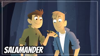 Wild Kratts - Fire Salamander - Full Episode In English Hd - 