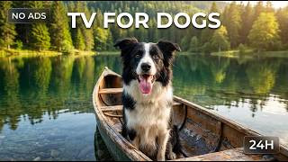 24 Hours of Dog TV for Dogs to Watch 🐶 Anti-Anxiety Dog Entertainment | Soothing Music 🎵 No Ads