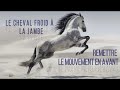 Comment rendre son cheval lger  la jambe cheval froid aux jambes