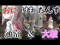 いろはにほへっとのおにけもだんす通常Ver 大破Ver 地球防衛軍6 ホロライブ 百鬼あやめ 白上フブキ 大神ミオ いろはにほへっとのおにけもだんす通常Ver 大破Ver 地球防衛軍6 ホロライブ 百鬼あやめ 白上フブキ 大神ミオ