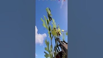 #rust #растантирейддом #music #юмор #rustрейд #мем #растмирейд #мемас #игры