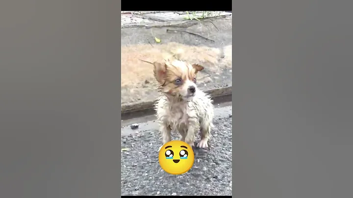 Just a fun throw or so it seemed 😱 #shortvideo #shorts #viralvideo