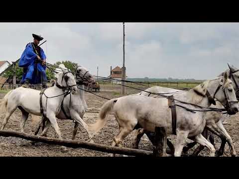 Vídeo: Hungarian Horse Show na Puszta