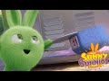 Sunny Bunnies – maquina de helados | Dibujos animados para niños | WildBrain en Español