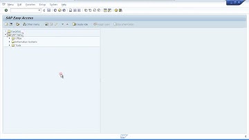 005 First Look At The ABAP Workbench