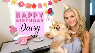POMERANIAN'S FIRST BIRTHDAY | Puppy Party with Fluffy Friends, Cake & Presents