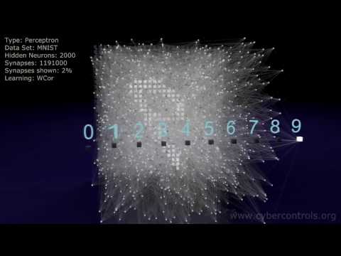 Neural Network 3D Simulation