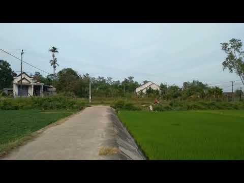 Trip to Quang Ngai 2022 Day 2: Tịnh Hiệp Village, Son Tinh District, Quang Ngai Province June 28