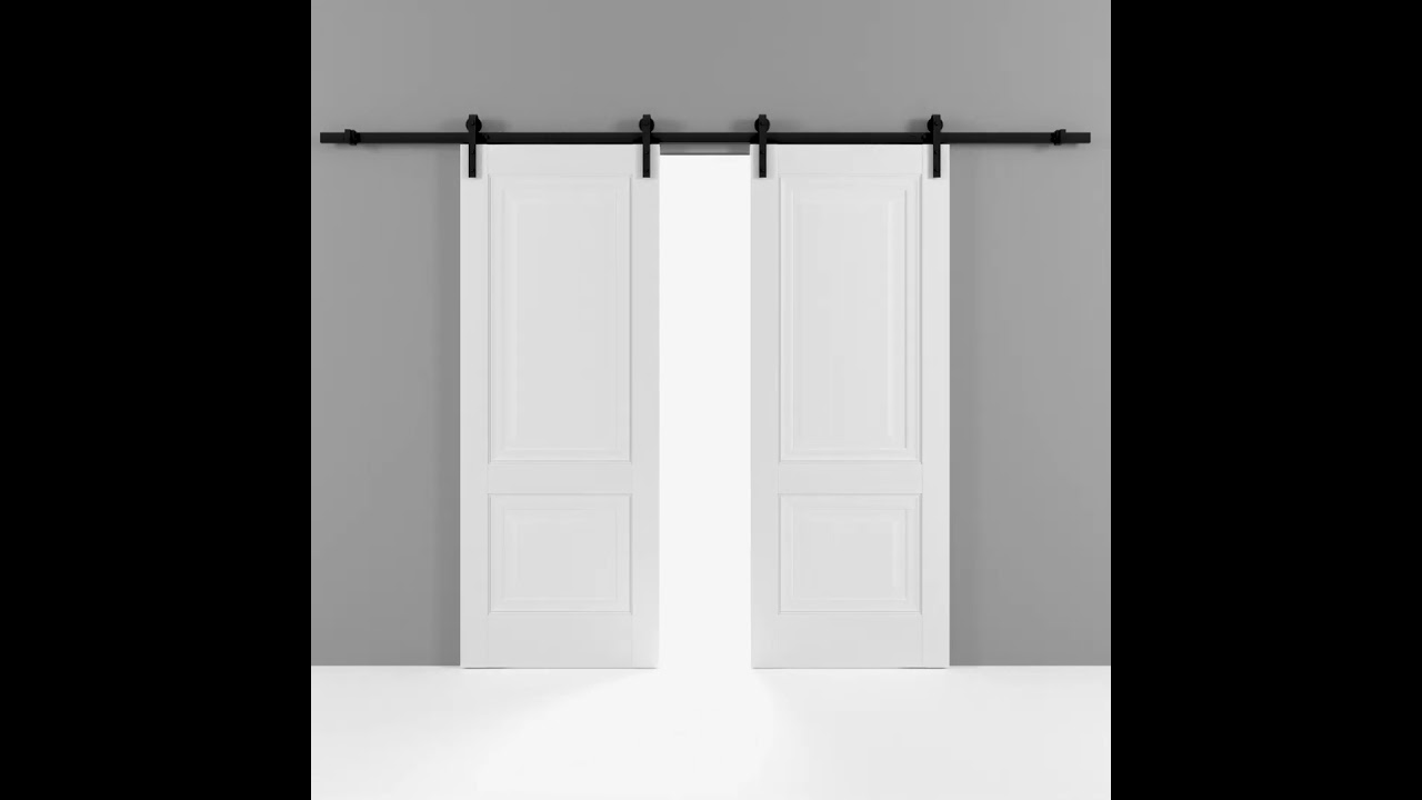 Lucia 8831 White Double Barn Door 3D visualization
