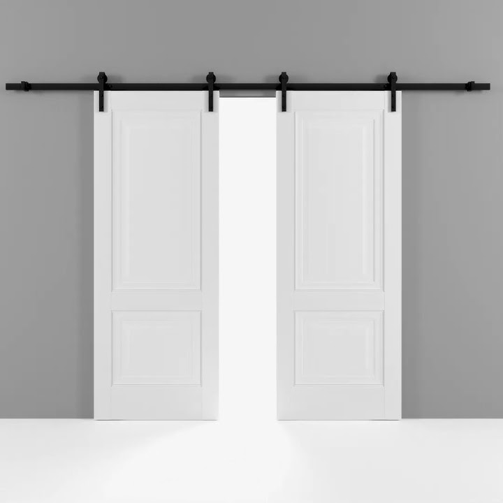 Lucia 8831 White Double Barn Door 3D visualization