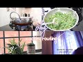 What I Eat For Lunch During My Weight Loss Journey, cooking routine, soothing silent vlog, cooking