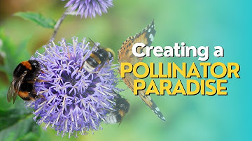 Creating a Pollinator Paradise