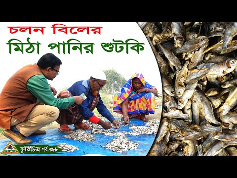 ভিডিও: কীভাবে মিঠা পানির মাছ ম্যাটলট তৈরি করবেন