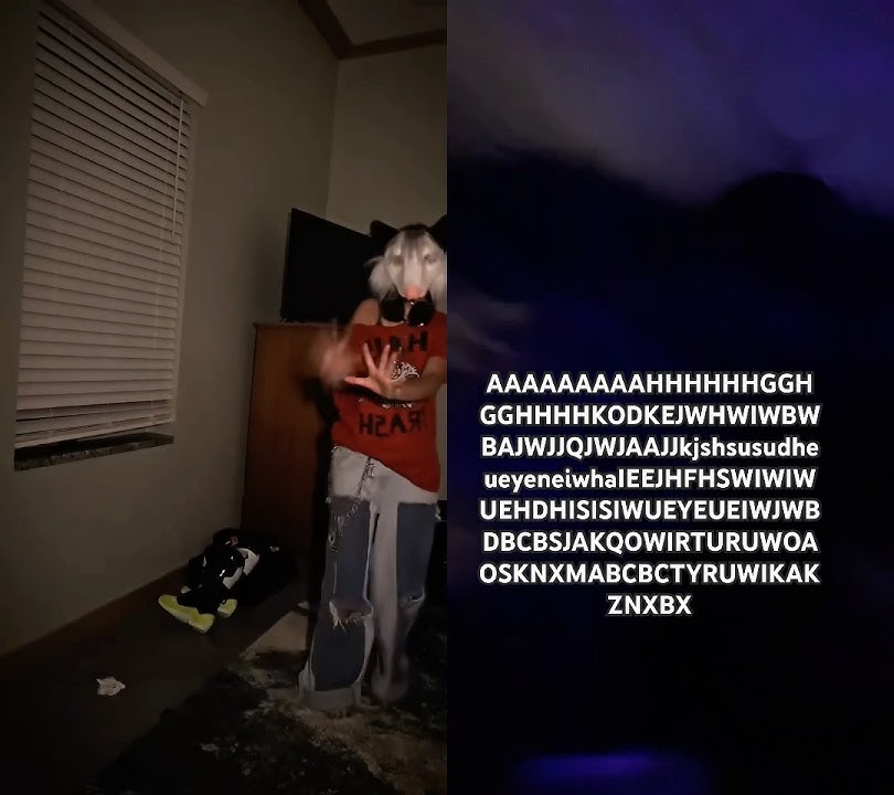 𝘥𝘶𝘦𝘵𝘴 𝘢𝘳𝘦 𝘴𝘰 𝘧𝘶𝘯 𝘰𝘮𝘨𝘰𝘴𝘩 | #hethey #therian #furrt #duet #expression #cringe |