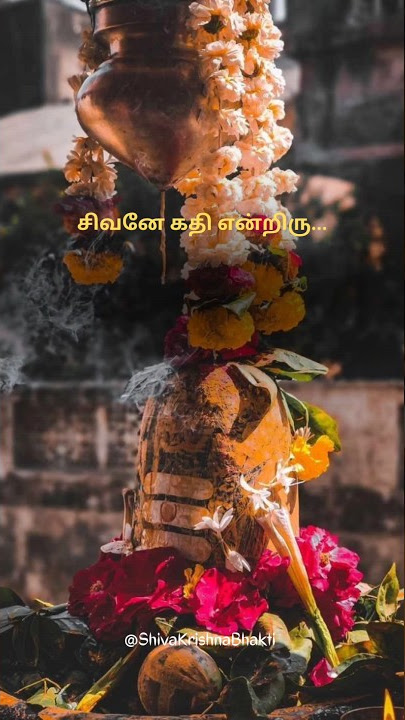 Shiva quotes WhatsApp status tamil | Shiva quotes tamil #short  #shivan