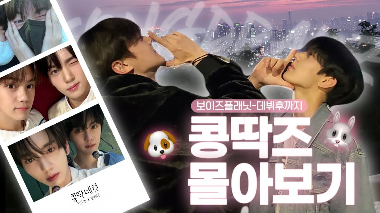 [ZB1] 김규빈 X 한유진 콩딱즈 모음집 🐶🐰 | 보이즈플래닛~현재까지 서사 몰아보기