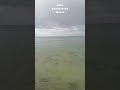 #Calm #beachsounds  waves #shorts