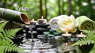 Healing Piano Music for Stress Relief 🌿 Soothing Music to Calm Anxiety & Cure Insomnia | Study Music