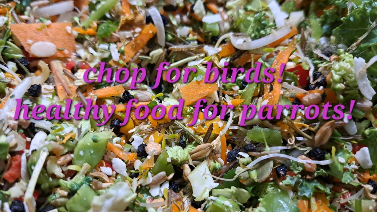 DIY bird food/Homemade food for parrots and other birds! Chop for