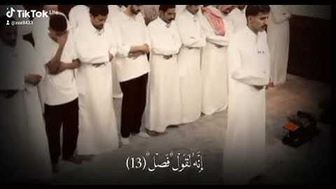 القرآن الكريم بصوت سعد ال مخفور 