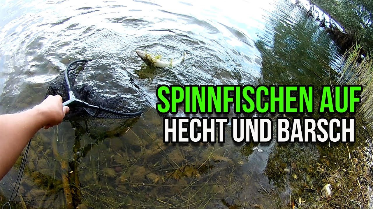 Mitchell Epic RZ Spinning 2.10 M 1-8 G L Trout Area Produktbild-Vorschau 2