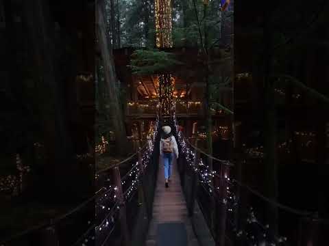 Video: Capilano Asma Körpü Parkı, Vankuver, BC