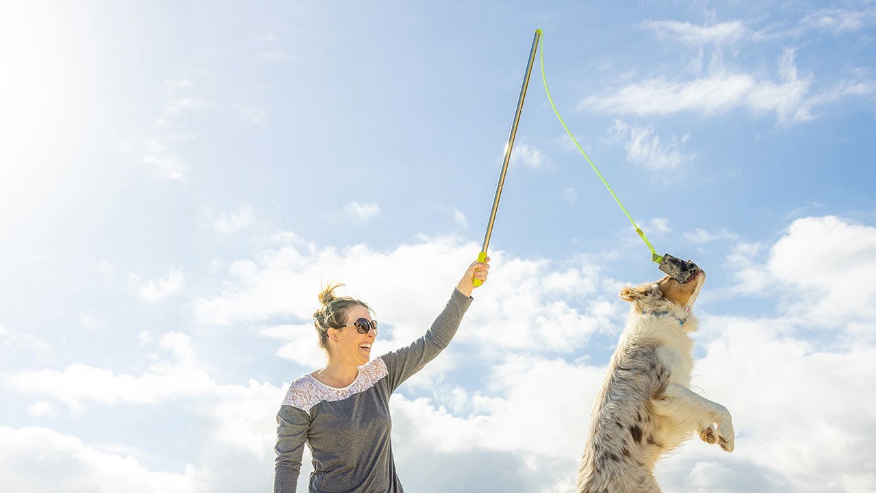 NEW! Hyper Pet Flirt Pole | Great for training, exercise, and fetch!