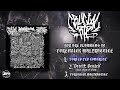 Crucial ripstate of filthbashed in  forensic malpractice official stream 2024 sw exclusive