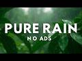 Relaxing Rain Sounds 🌧️ Natural Rain for Sleep & Focus